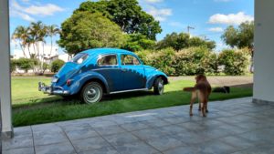 Fusca 1969 11