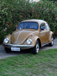 Fusca Marrom