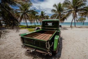 Pickup Willys 1959 (10)